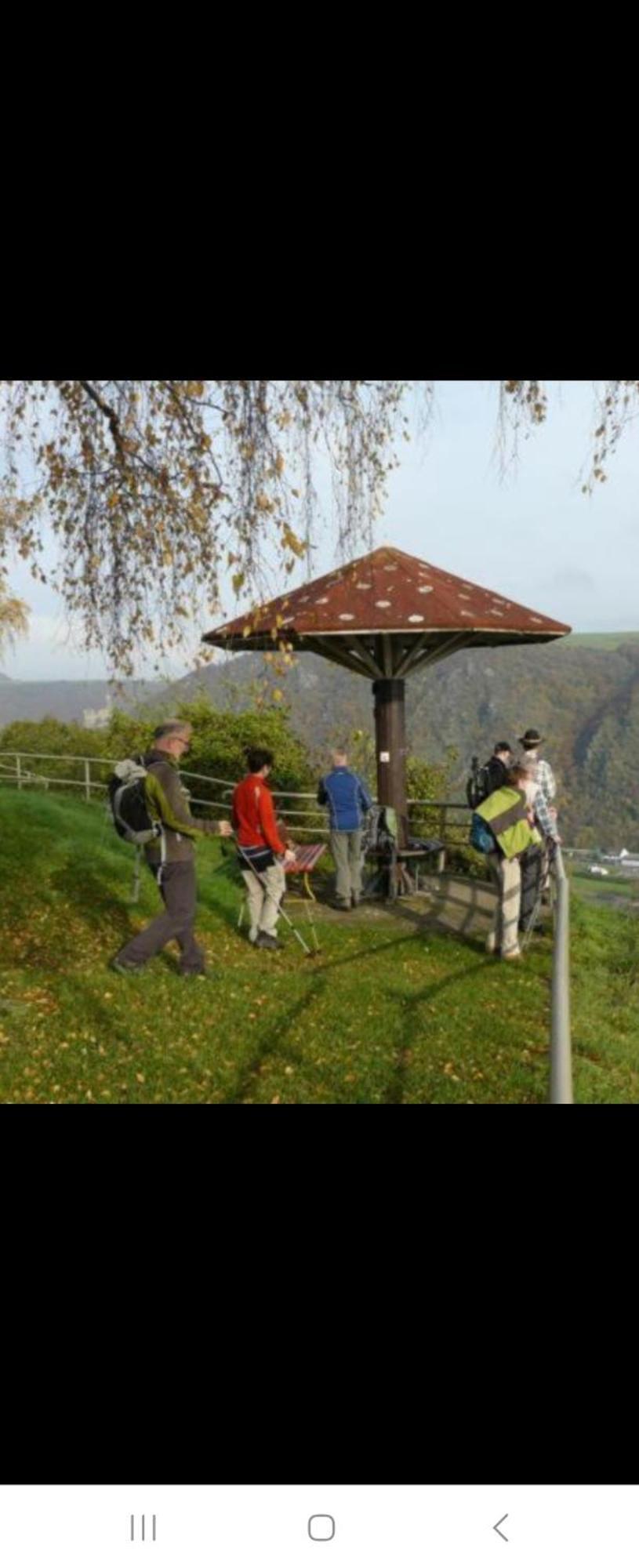 Holzfeld Διαμέρισμα Boppard Δωμάτιο φωτογραφία